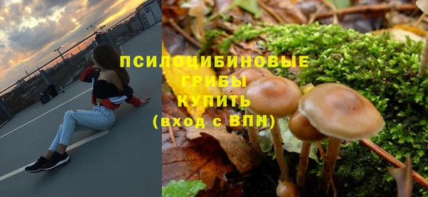ГАЛЛЮЦИНОГЕННЫЕ ГРИБЫ Арсеньев
