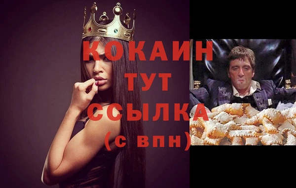 ГАЛЛЮЦИНОГЕННЫЕ ГРИБЫ Арсеньев
