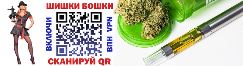 Бошки марихуана конопля  даркнет наркотические препараты  Белокуриха  что такое   МЕГА зеркало 